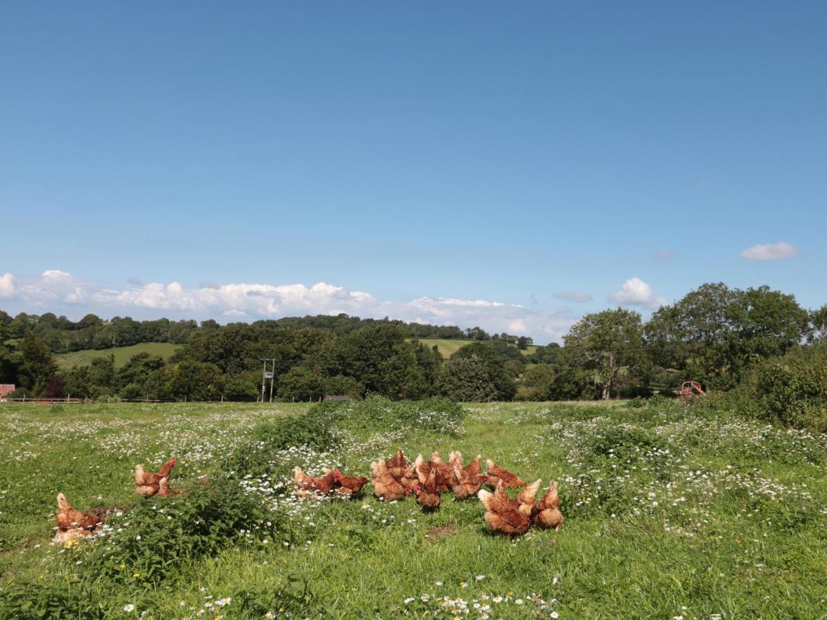 The Cider Shed Apartman Winscombe Kültér fotó